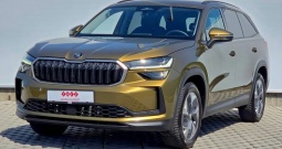 ŠKODA KODIAQ 1.5 TSI MHEV 110KW DSG