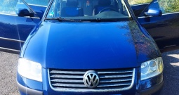 Passat 3bg