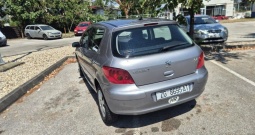 Peugeot 307 1.6 16V