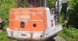 Bobcat
