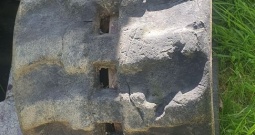 Bobcat