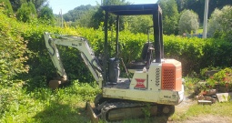 Bobcat