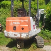 Bobcat