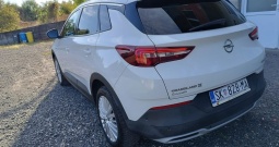 Opel Grandland 1.6 CDTI Cosmo-kartice
