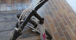 MTB Capriolo Passion Lady