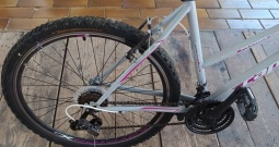 MTB Capriolo Passion Lady
