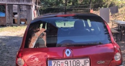 Renault Clio II