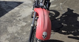 Aprilia rotaks 500