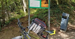 Cygnus fat bike prerađen u električni