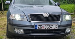 Octavia 2.0 TDI DSG 2005. god