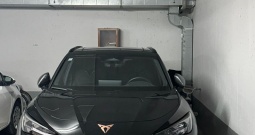 Cupra Terramar VZ 2.0 TSI DSG 265 KS | Full oprema