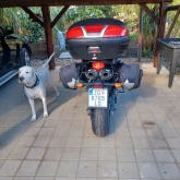Yamaha fz6 2005g,ful injection