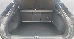 Cupra Terramar VZ 2.0 TSI DSG 265 KS | Full oprema