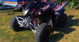 ADLY 300 xs