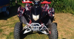 ADLY 300 xs