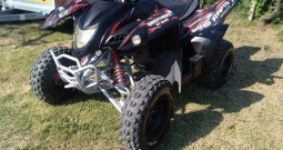 ADLY 300 xs
