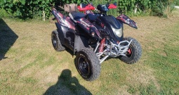 ADLY 300 xs
