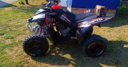 ADLY 300 xs