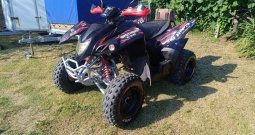 ADLY 300 xs