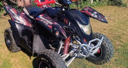 ADLY 300 xs