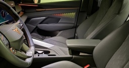 Cupra Terramar VZ 2.0 TSI DSG 265 KS | Full oprema