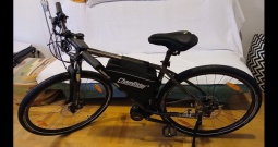 Cygnus fat bike prerađen u električni