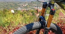 Cygnus fat bike prerađen u električni