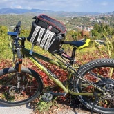 Cygnus fat bike prerađen u električni