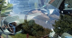Prodajem Citroen Picaso