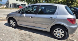 Peugeot 307 1.6 16V
